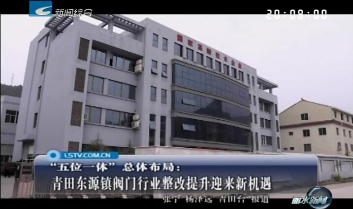 丽水电视台报道汉特姆阀门